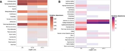 Cytosine Methylation Within Marine Sediment Microbial Communities: Potential Epigenetic Adaptation to the Environment